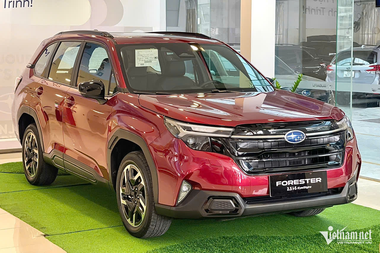 W-Forester 1.jpg