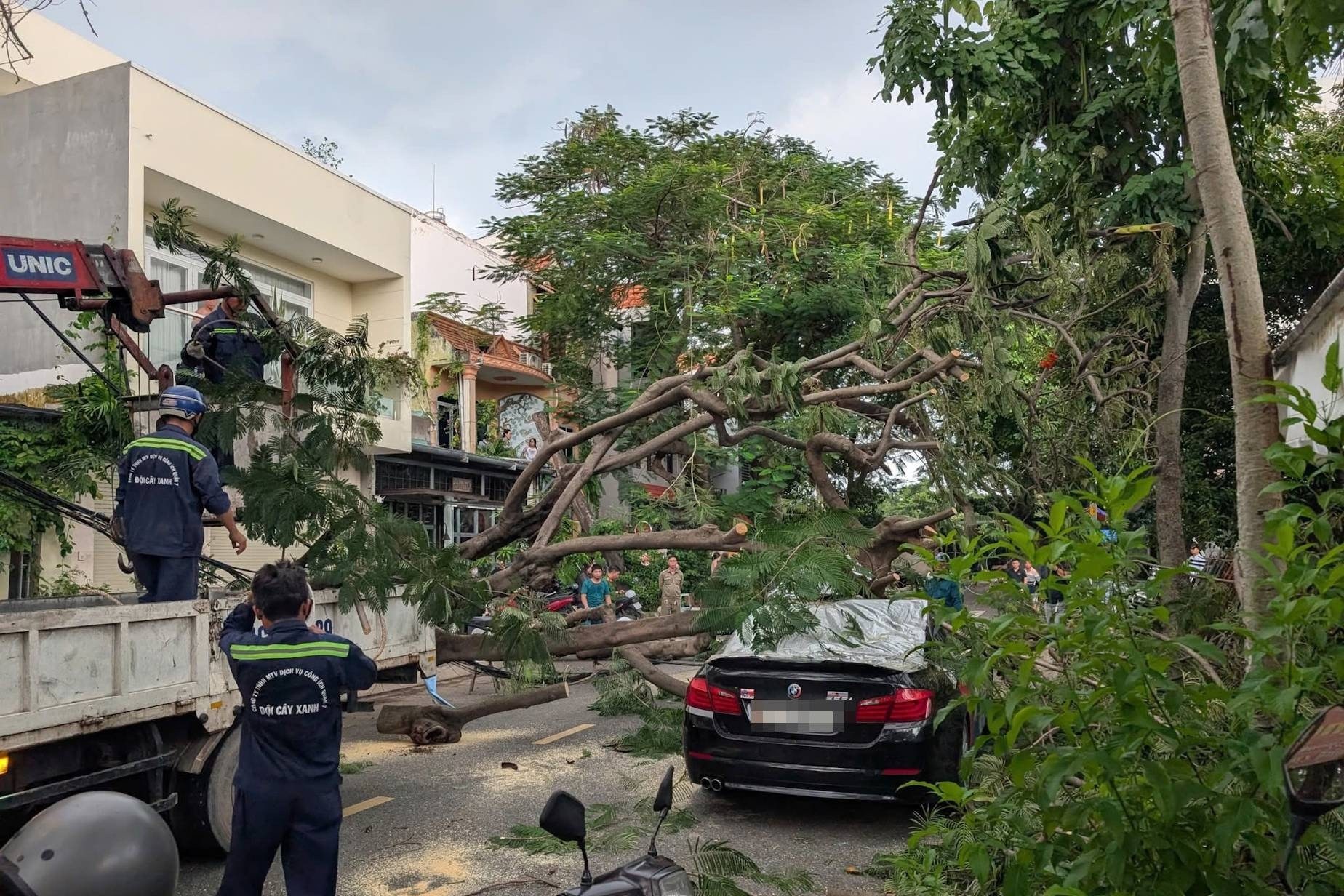 Bản tin cuối ngày 10/10: Hai cây phượng bật gốc kéo trụ điện, hư hỏng nhiều xe