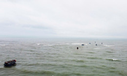ảnh 3.jpg