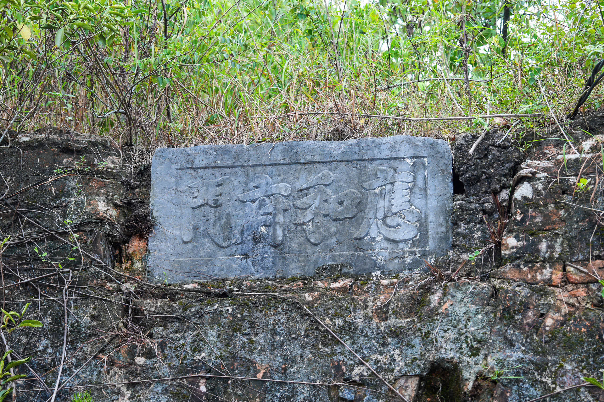 https://static-images.vnncdn.net/vps_images_publish/000001/000003/2026/10/10/ungthien3-1944.jpg