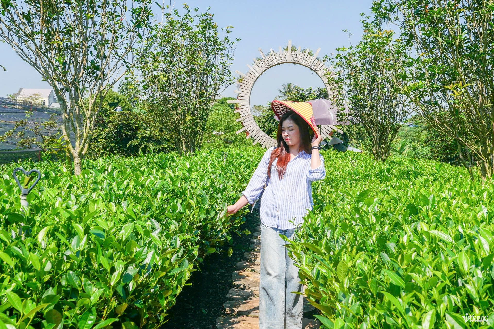 https://static-images.vnncdn.net/vps_images_publish/000001/000003/2026/10/11/w-tau-ha-noi-thai-nguyen-793.jpg