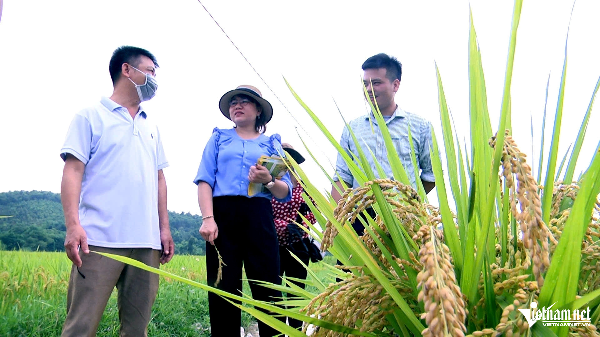 W-a6Những người đứng sau dịch vụ công.jpg