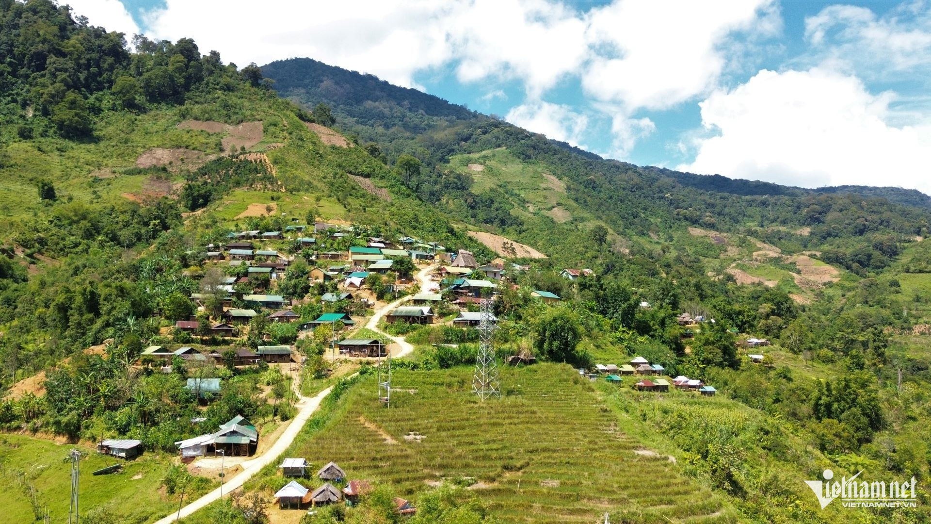 W-kon tuông.jpg