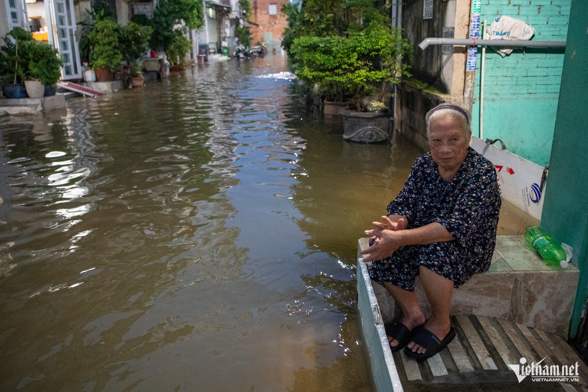 https://static-images.vnncdn.net/vps_images_publish/000001/000003/2026/10/12/w-mua-to-ngay-7-10-12-tuan-hung-17-2665.jpg