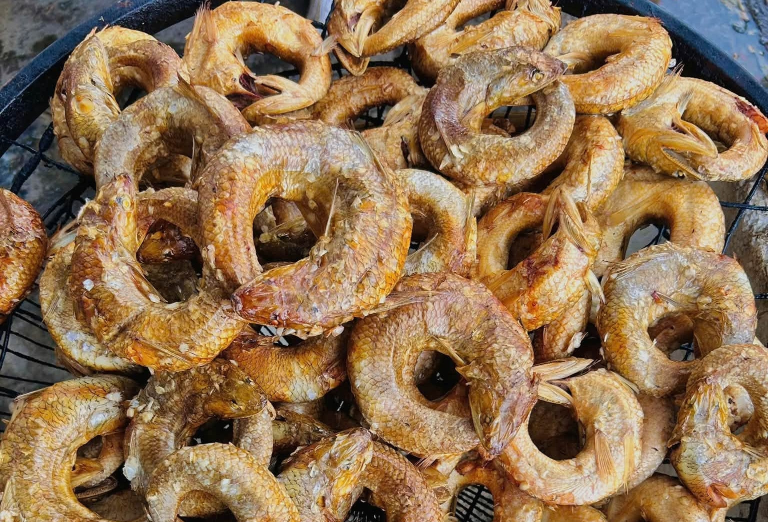 Loài cá 'miệng ngậm đuôi', vừa hấp vừa xông khói thành đặc sản nức tiếng xứ Nghệ