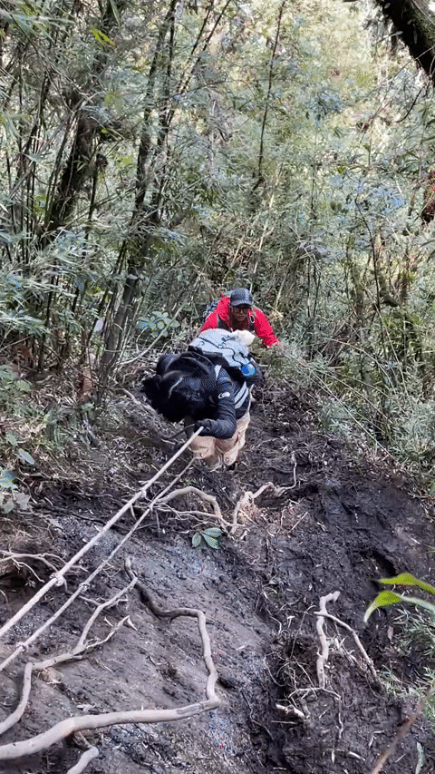 https://static-images.vnncdn.net/vps_images_publish/000001/000003/2026/10/13/mai-anh-vid2-2573.gif