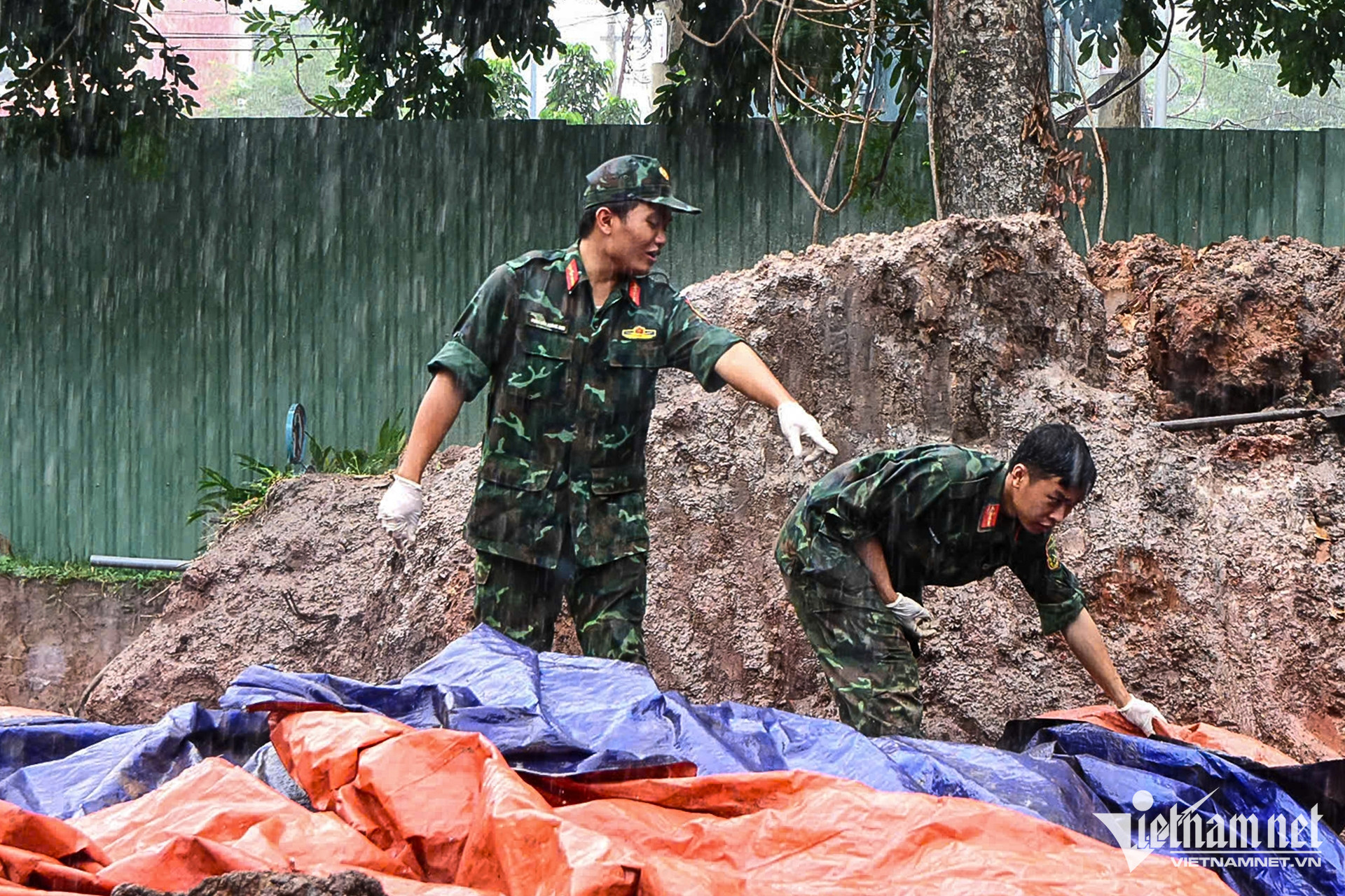 Box https://static-images.vnncdn.net/vps_images_publish/000001/000003/2026/10/13/w-tuy-dieu-le-thi-rieng-nguyen-hue-19-2396.jpg