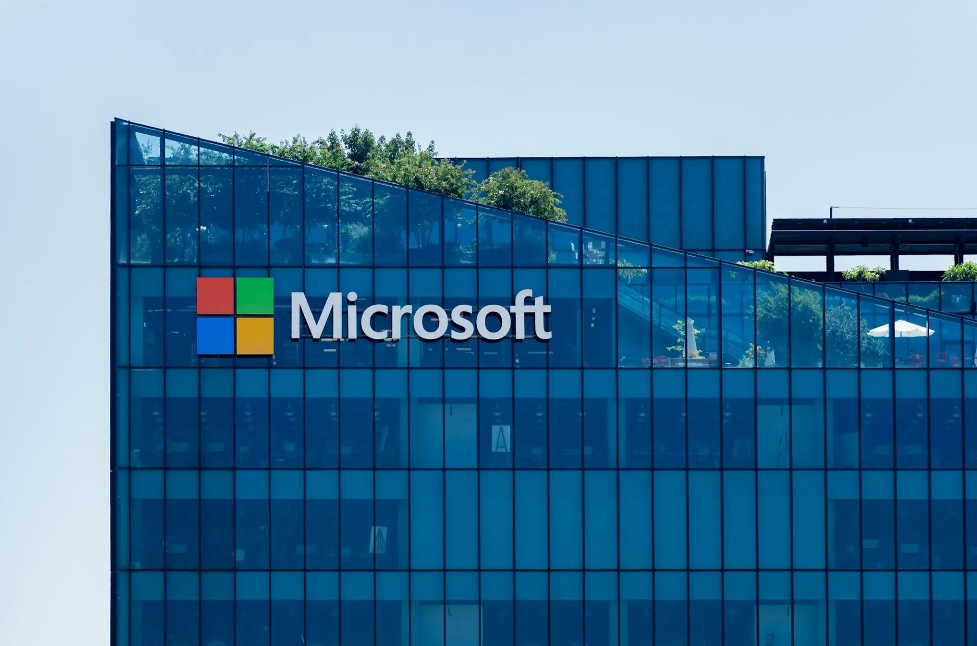 microsoft Image: Flickr / Wikimedia Commons / Unsplash