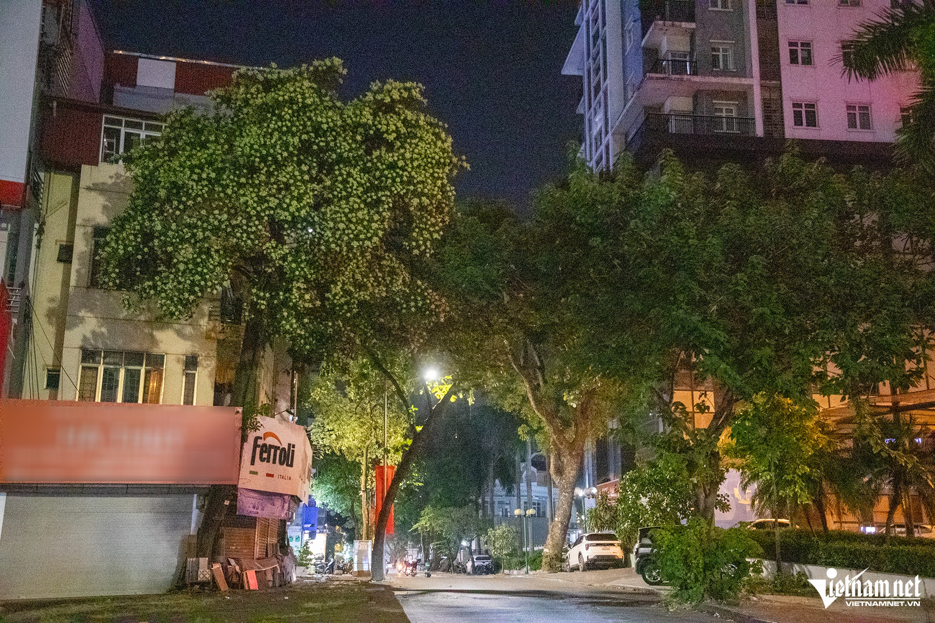 W-hoa sua 10 HIEU2621 sao chép.jpg