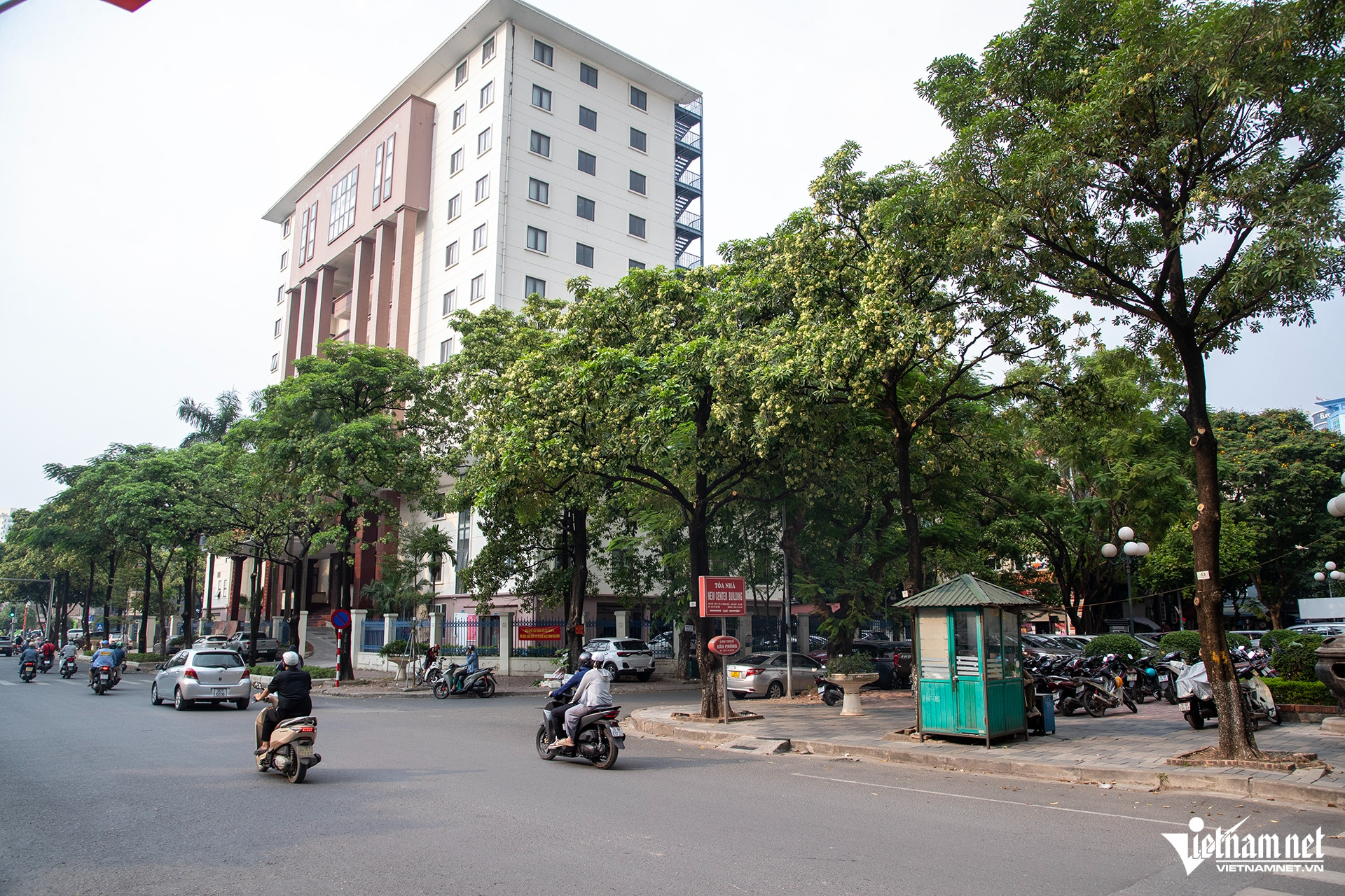 W-hoang dao thuy 6 HIEU3032 sao chép.jpg