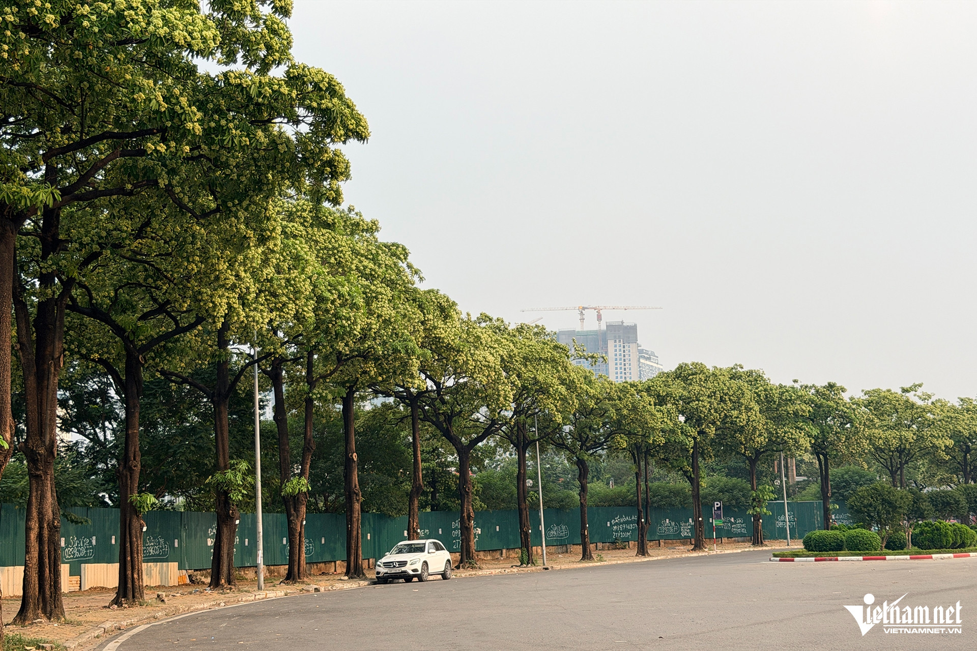 W-le quang dao 12.JPG.jpg