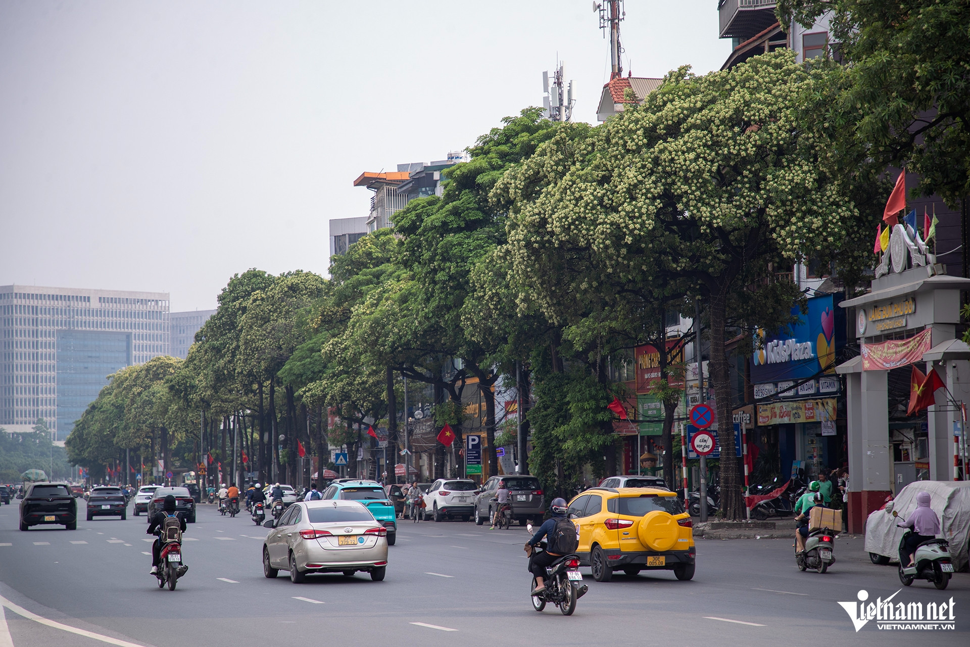 W-le quang dao 3 HIEU3211 sao chép.jpg