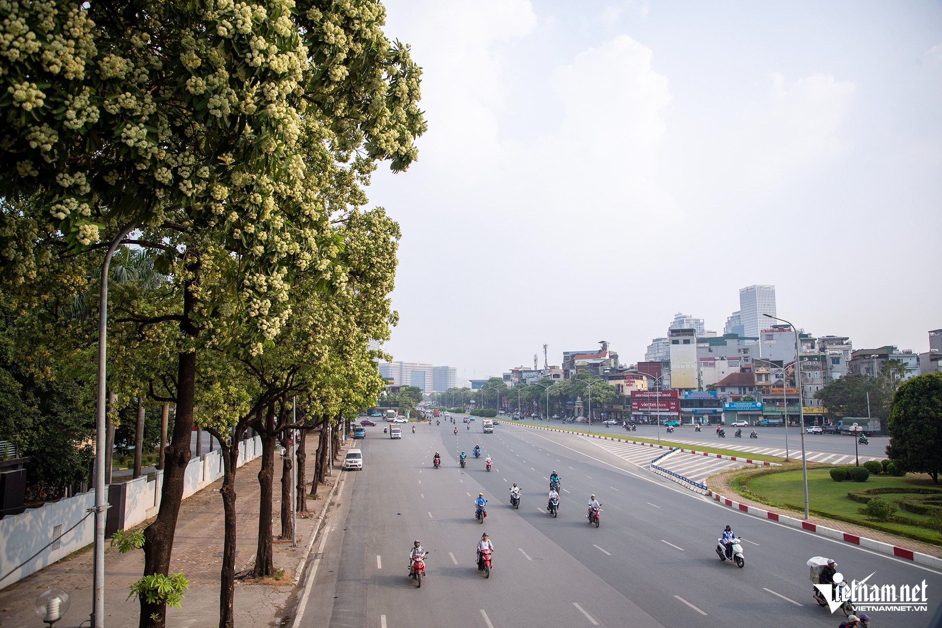 W-le quang dao HIEU3111 sao chép.jpg