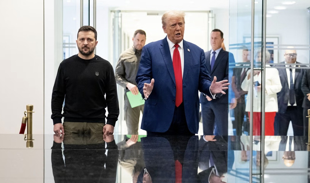 zelen trump nyt.jpg