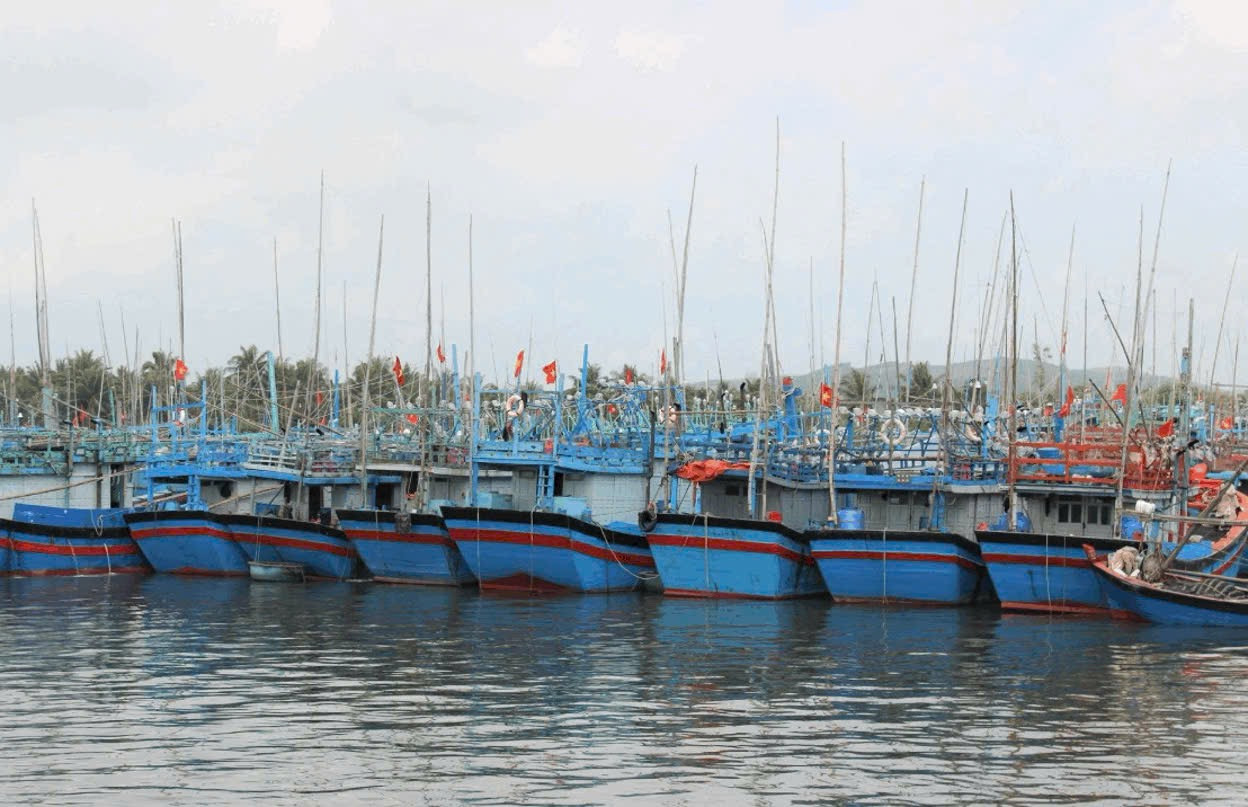 Ảnh Gia Lai.JPG