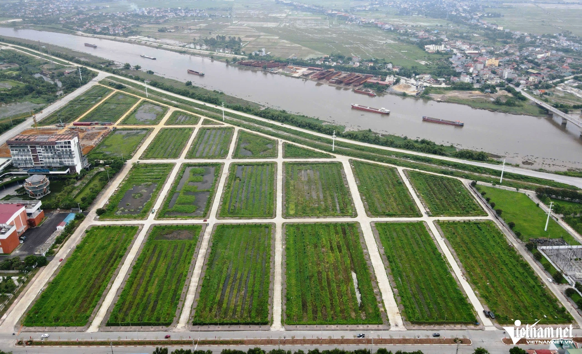 W-Đất vàng 1.jpg