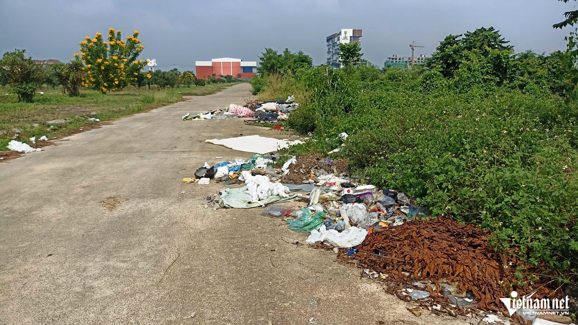 W-đất vàng 5.jpg