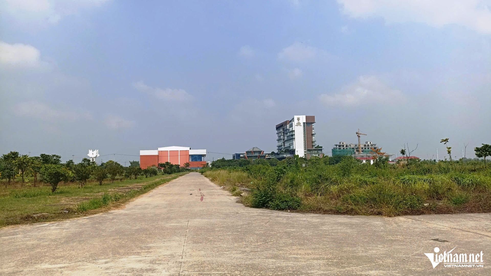 W-đất vàng 6.jpg