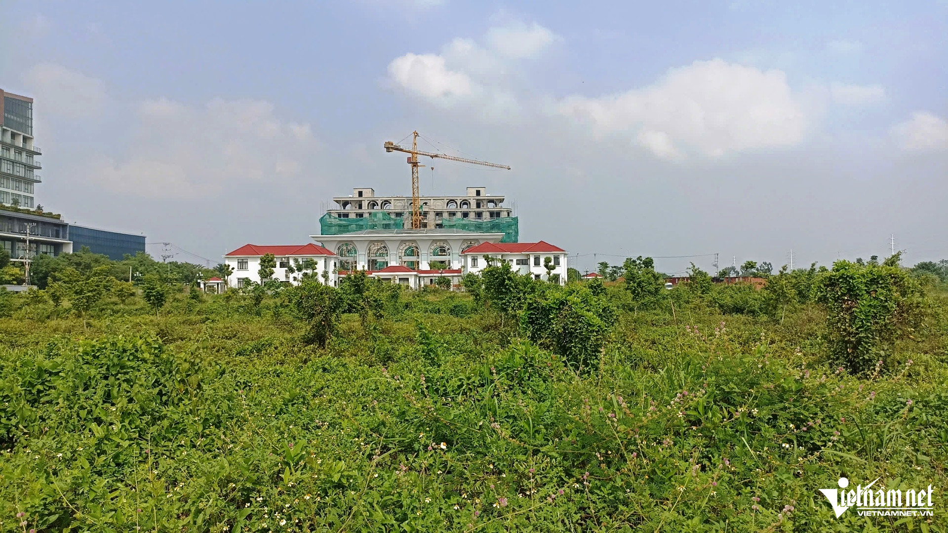 W-đất vàng 7.jpg