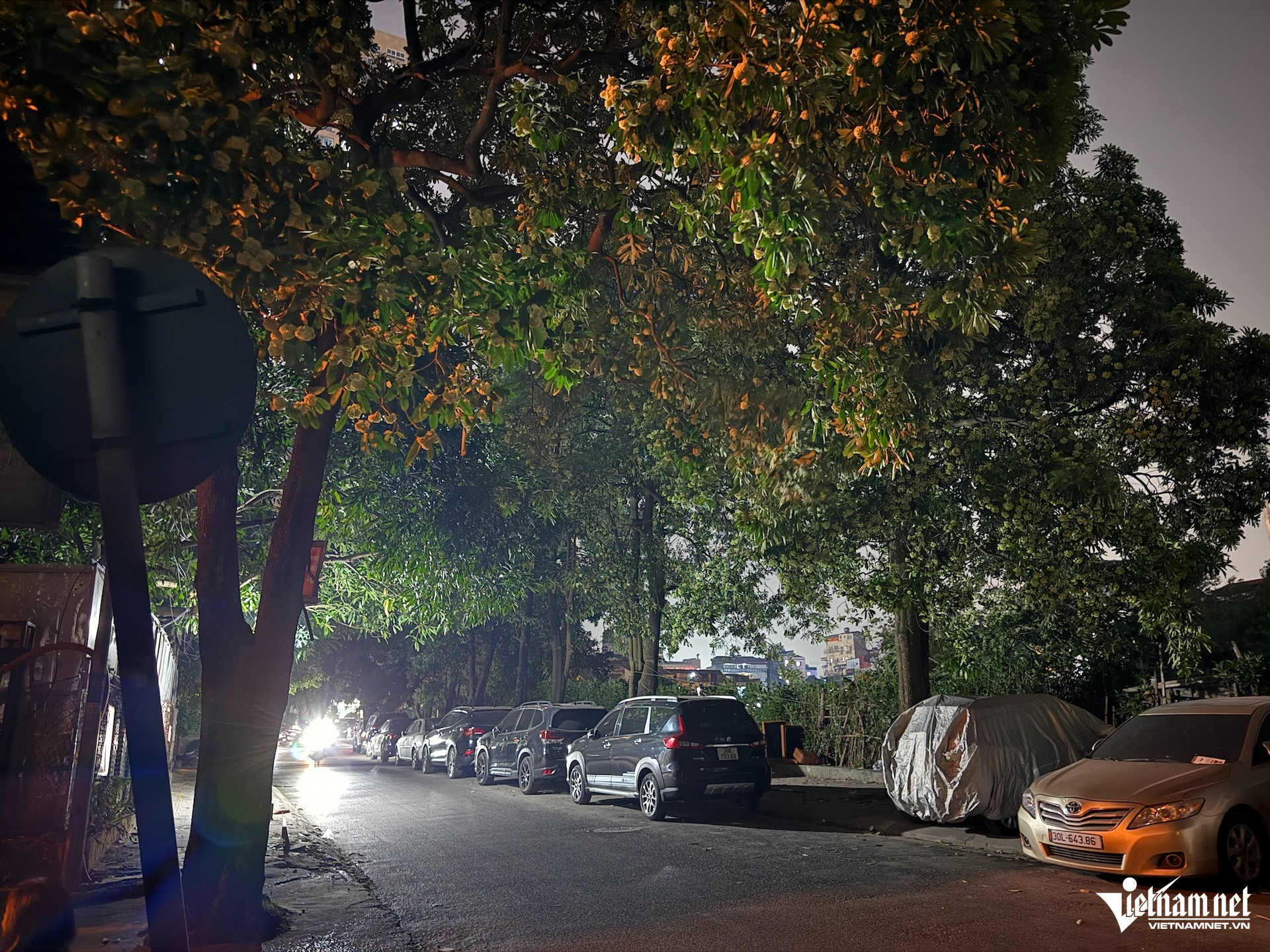 W-IMG_6707.JPG.jpg