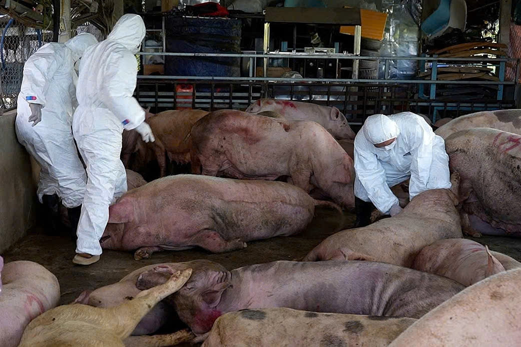 Đôi nam nữ bị khởi tố vì mua bán 750kg thịt lợn bốc mùi làm lạp xưởng