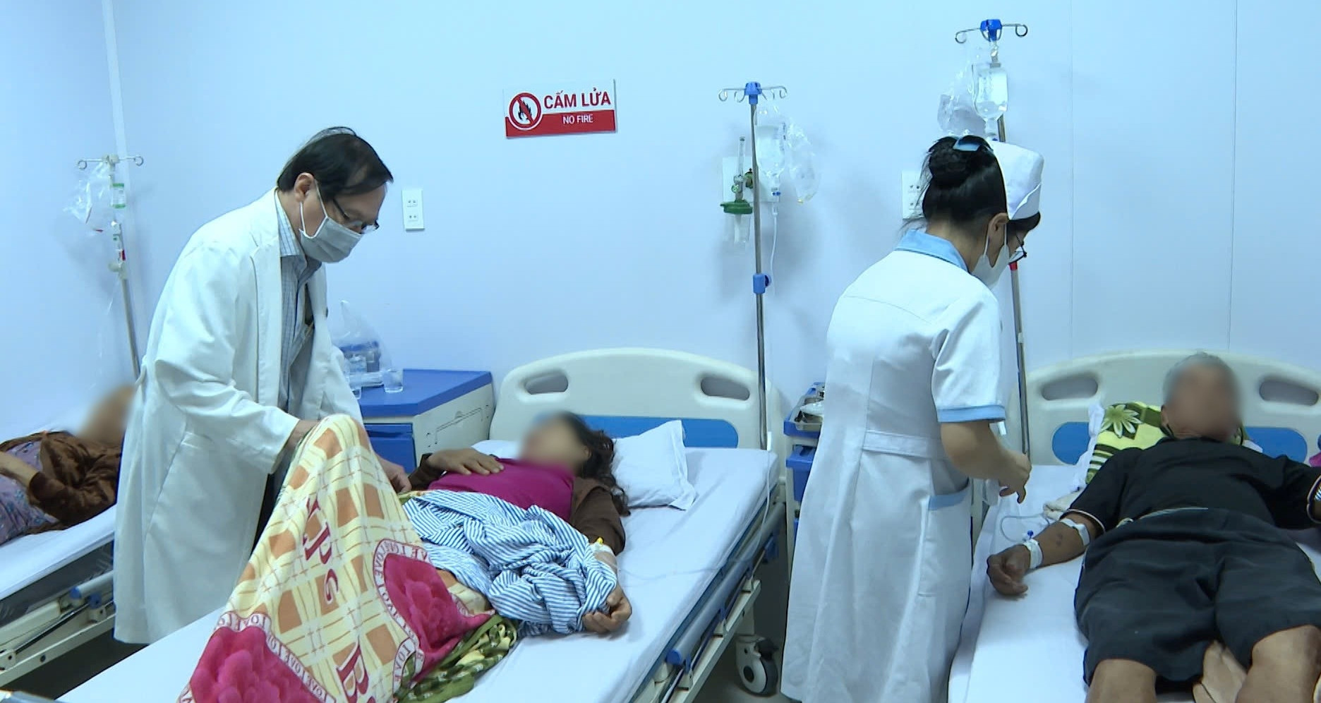 Vụ 175 người nhập viện sau ăn bánh mì: Chả, rau, bơ, nước sốt nhiễm Salmonella