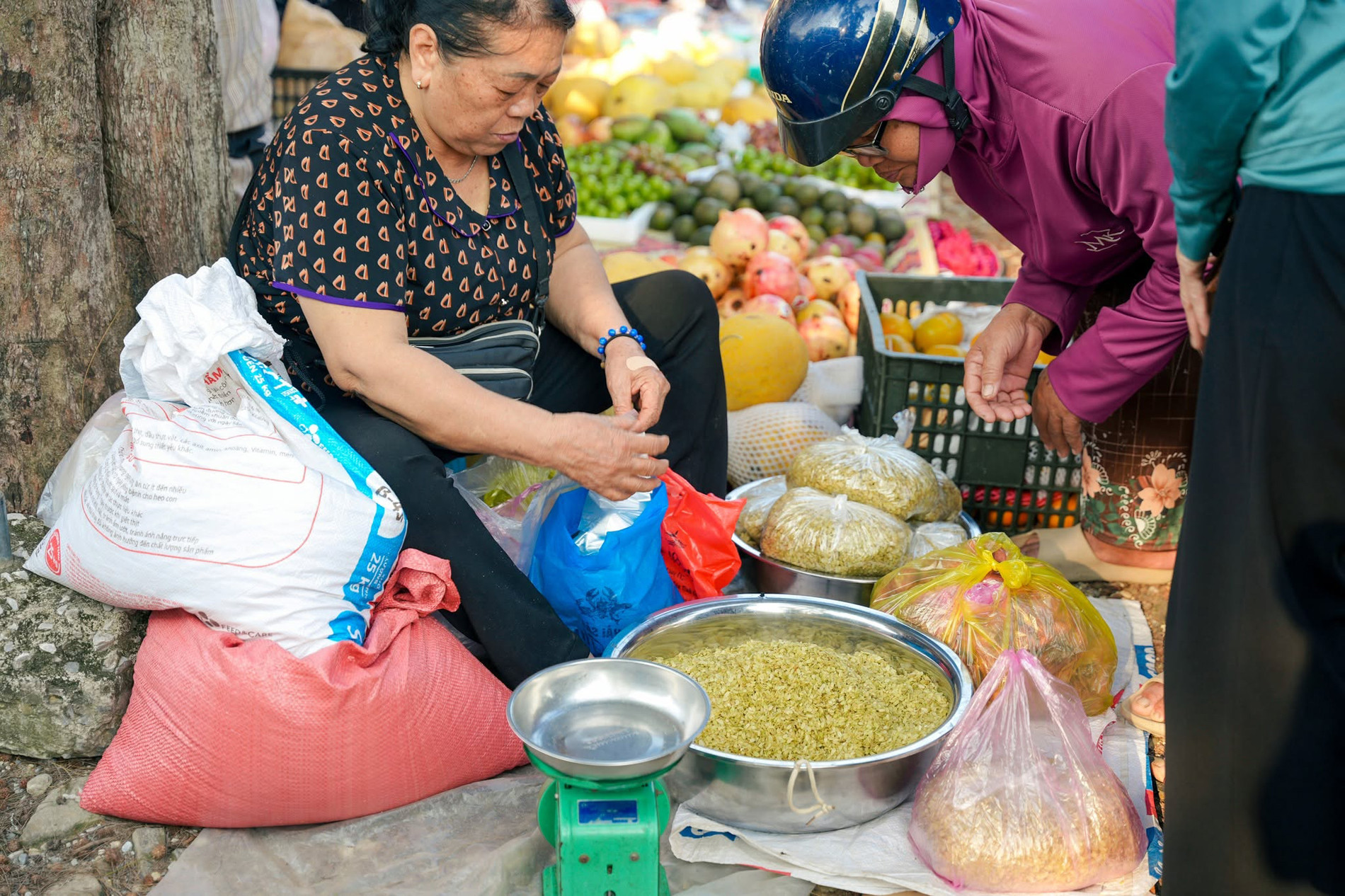 https://static-images.vnncdn.net/vps_images_publish/000001/000003/2026/10/17/cho-que-nga-son-02-2339.jpg