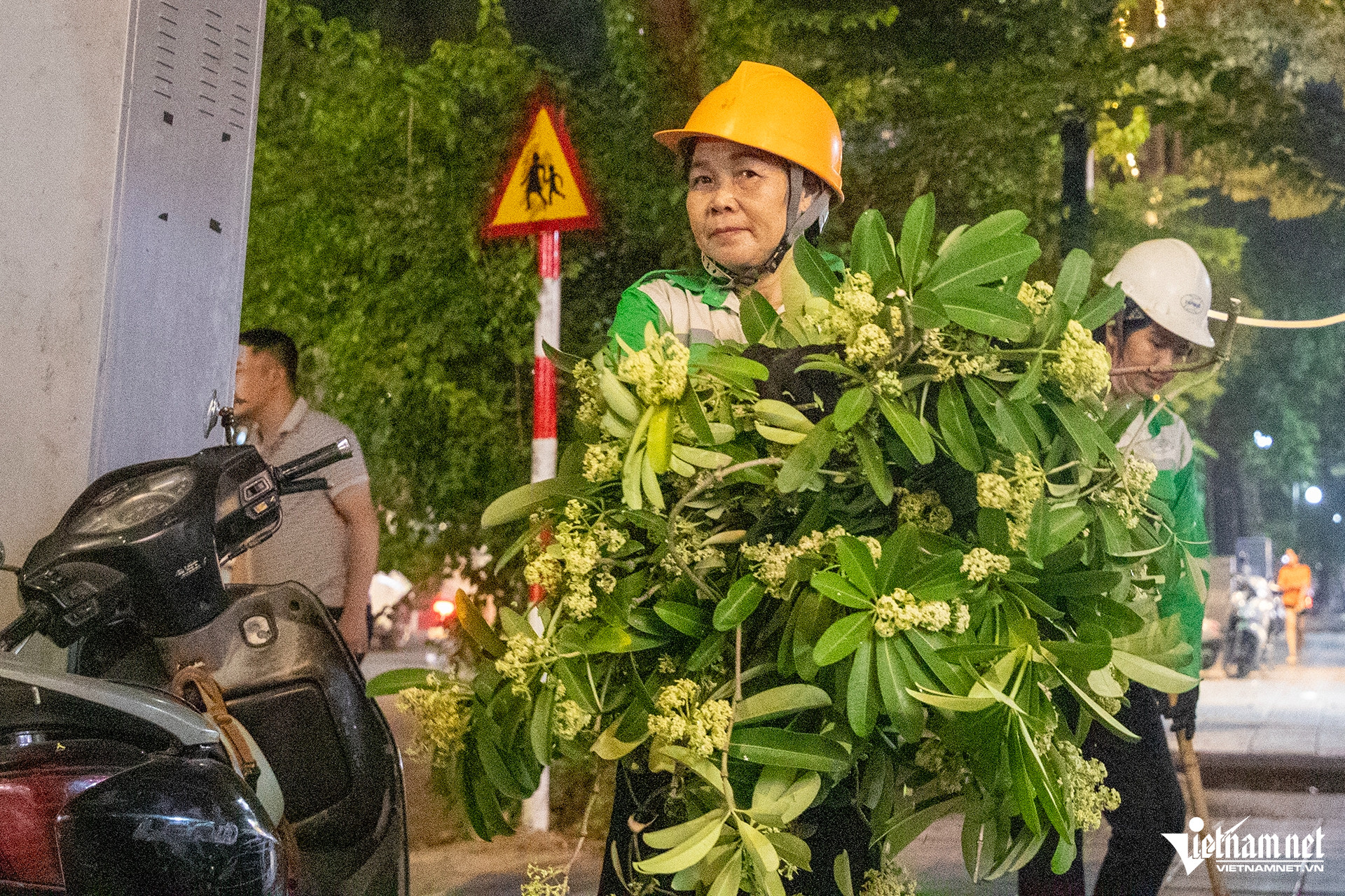 W-hoa sua tan mai 10 HIEU4134 sao chép.jpg