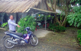 Cần Thơ.jpg