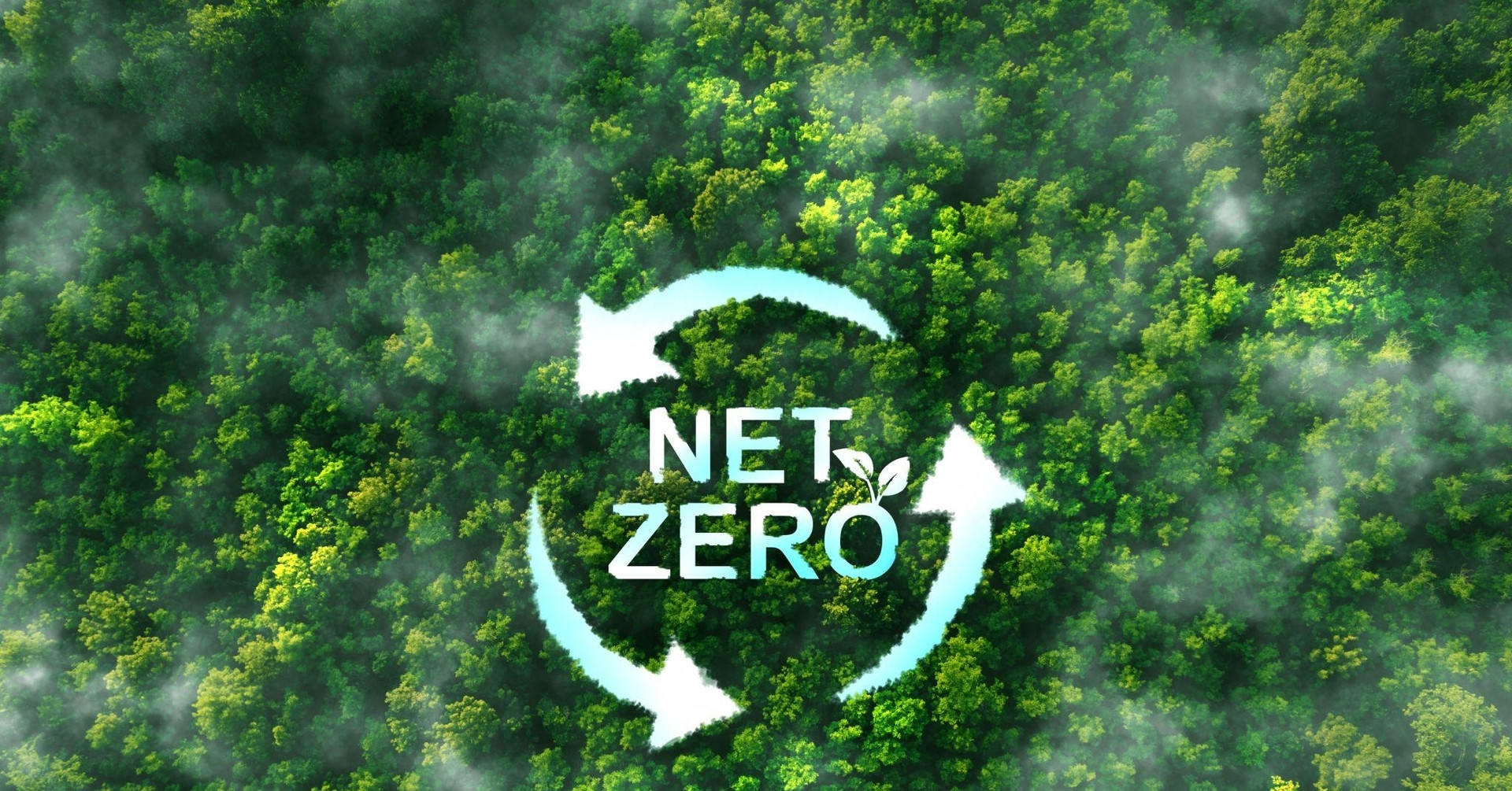 Hướng tới Net Zero: Khi công trình xanh bắt đầu từ khâu thiết kế