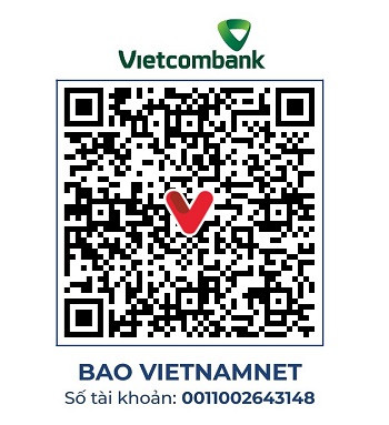 https://static-images.vnncdn.net/vps_images_publish/000001/000003/2026/10/18/vc-282-be-hoc-2338.jpg