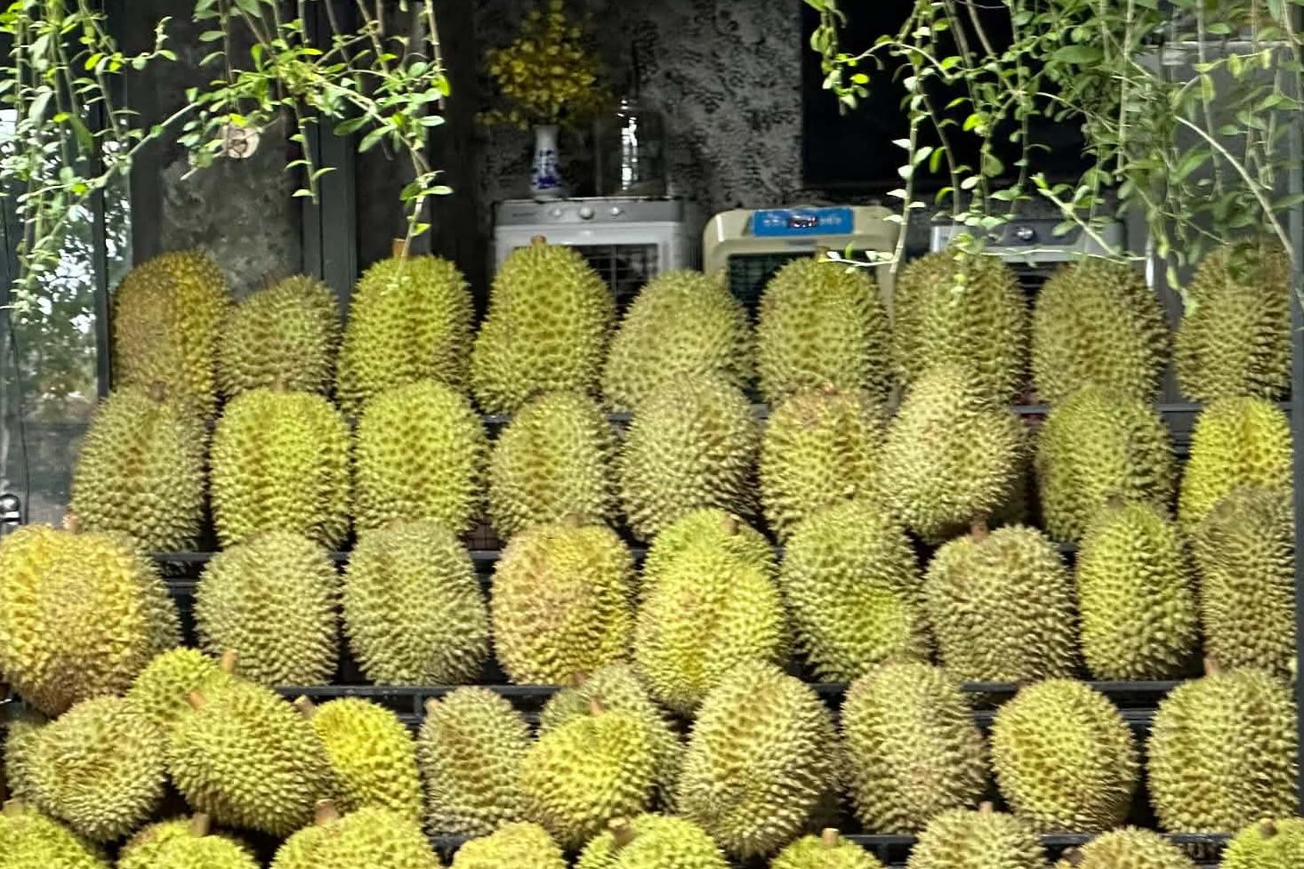 Người bệnh tiểu đường nên hạn chế 4 loại quả, thay bằng 4 loại khác