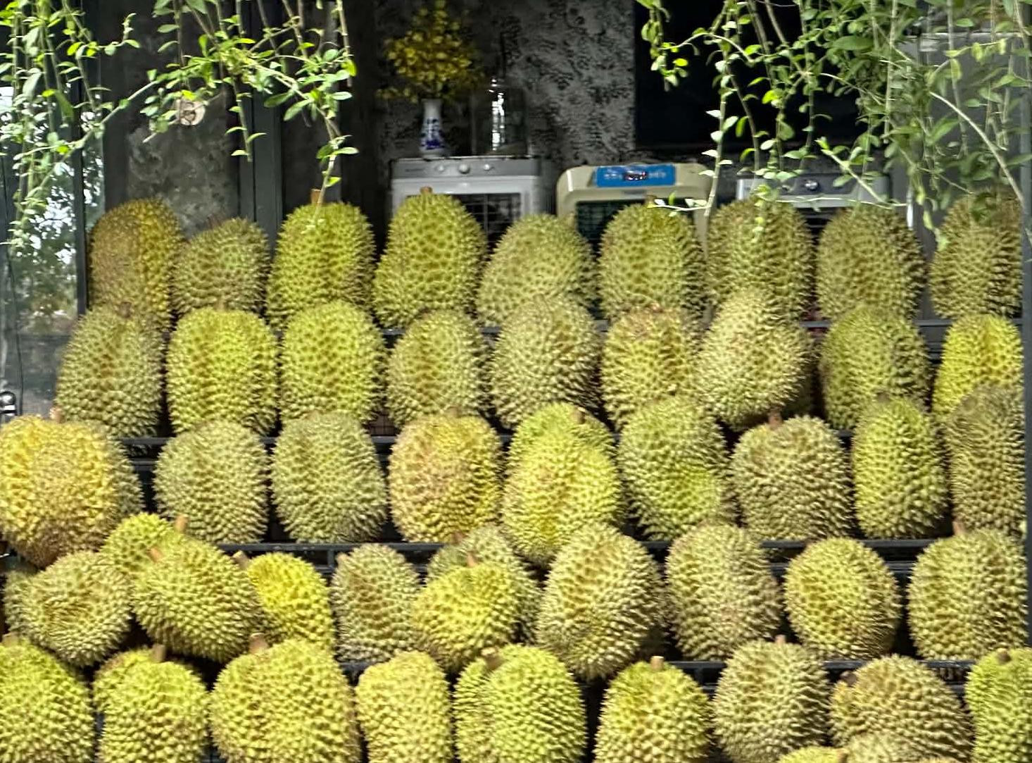 sau rieng .jpg
