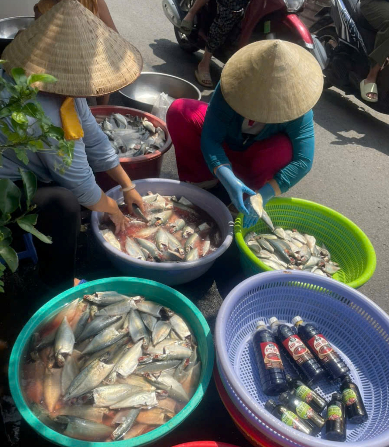 https://static-images.vnncdn.net/vps_images_publish/000001/000003/2026/10/19/thien-nguyen-7-3150.jpg