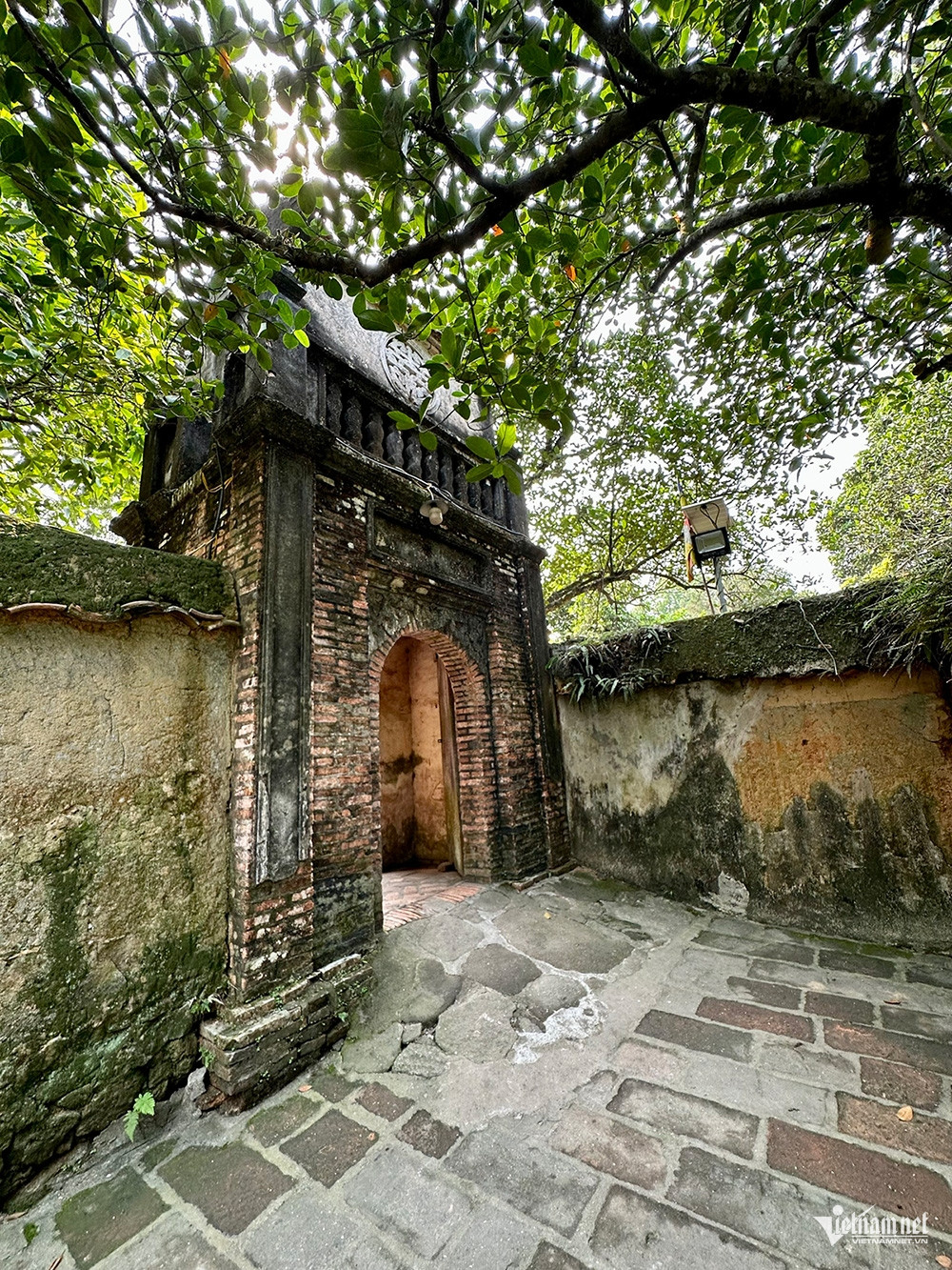 https://static-images.vnncdn.net/vps_images_publish/000001/000003/2026/10/19/w-chua-bo-da-1091.jpg