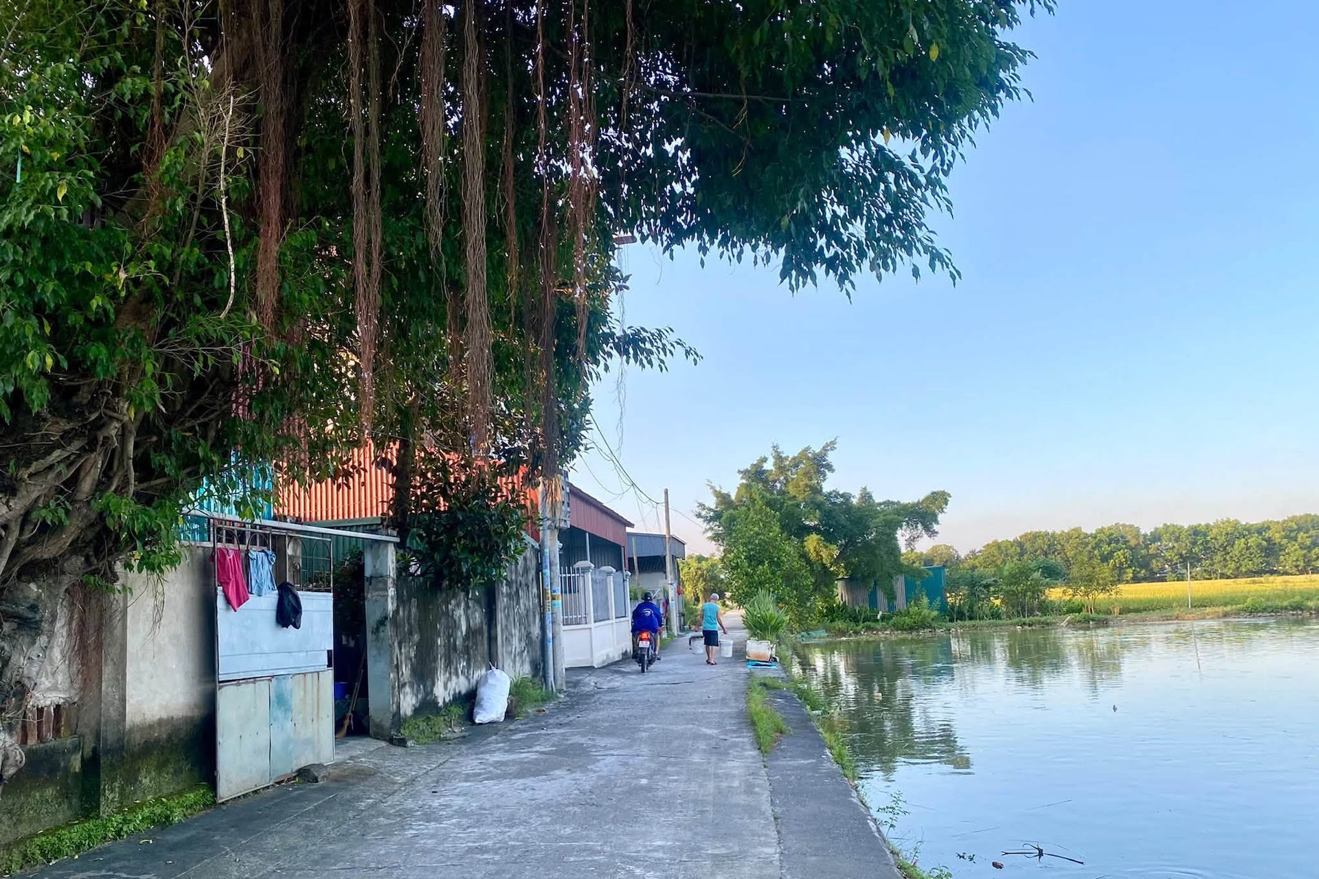 Bộ trả lời việc hiến đất làm đường, nay chuyển nhượng bị yêu cầu cấp đổi sổ đỏ