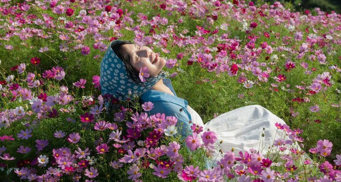Vườn hoa cánh bướm Tà Xùa: Khởi nguồn từ khát vọng kinh doanh của người dân bản địa