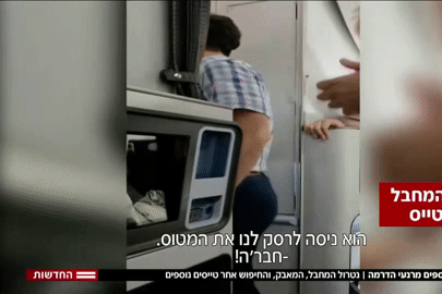 Khoảnh khắc hành khách khống chế kẻ tấn công trên máy bay Flydubai