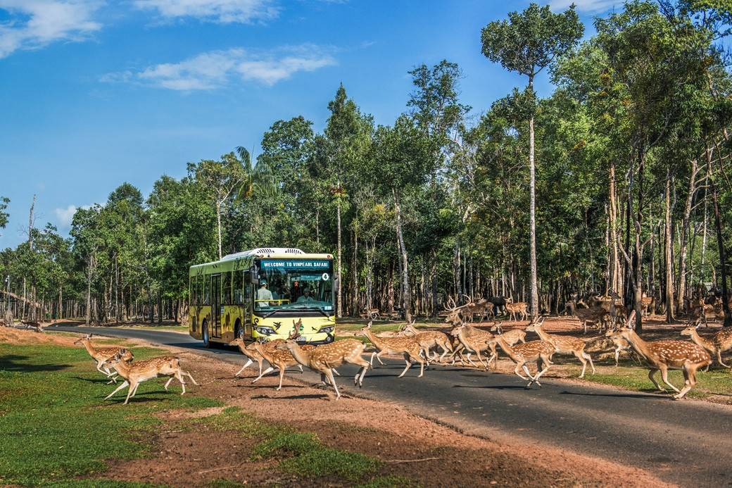 Vinpearl Safari Phú Quốc ghi dấu “kỷ lục kép” trên bản đồ safari thế giới