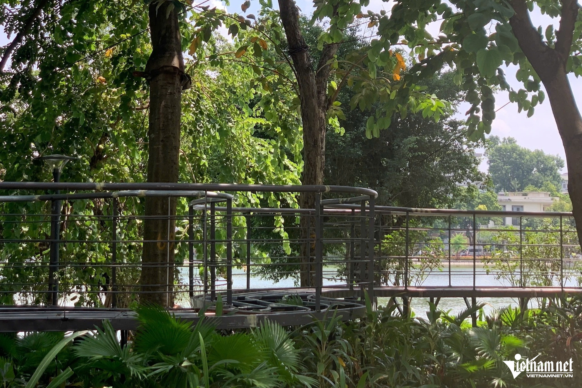 W-Anh Cau Can 1.jpg
