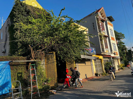 W-Anh minh hoa.jpg