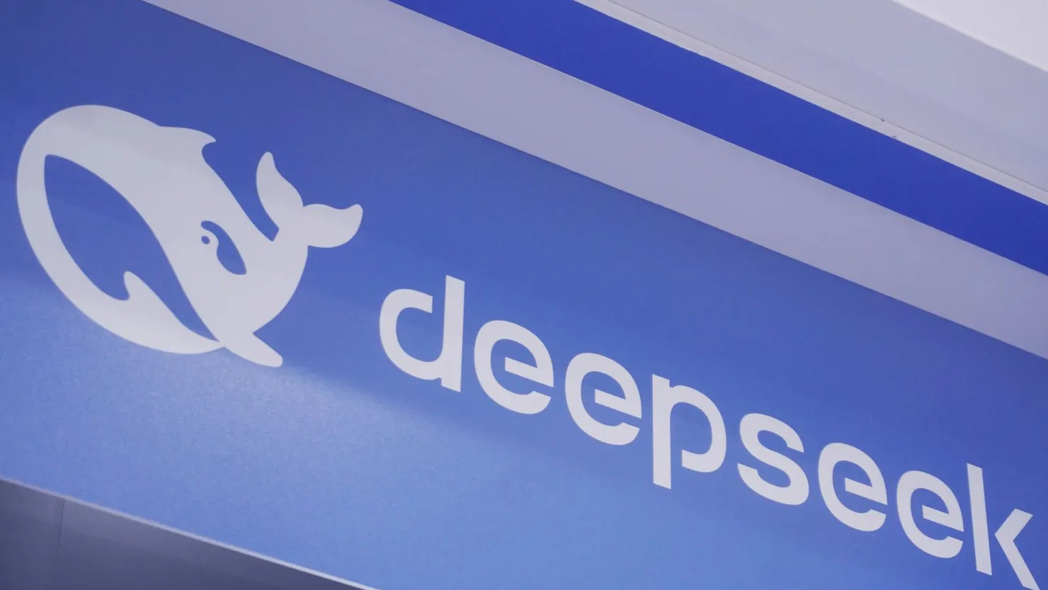 deepseek vcg