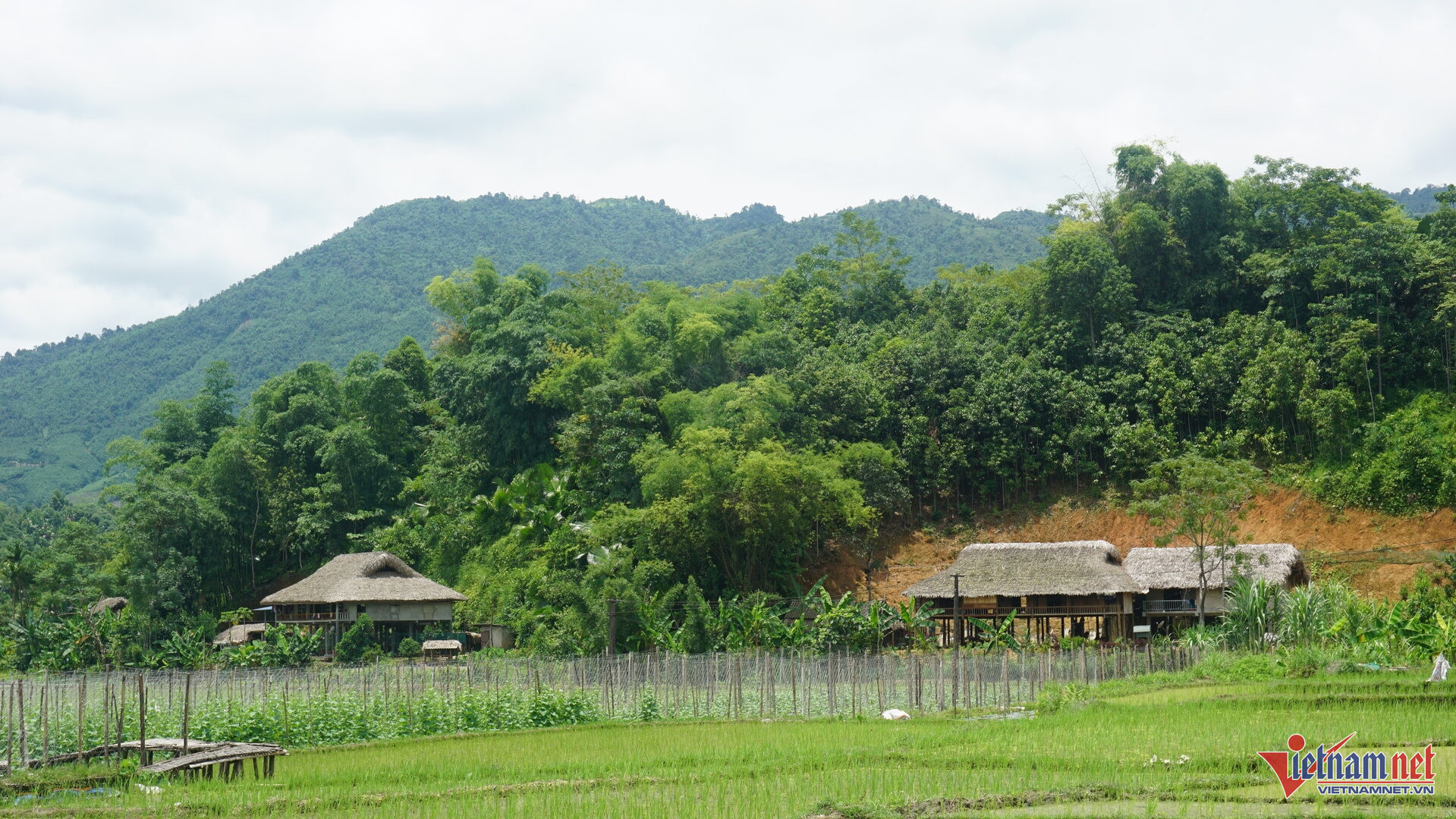 W-Bản làng vùng cao Lào Cai hôm nay.jpg