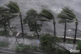 yagi quang ninh thach thao.jpg