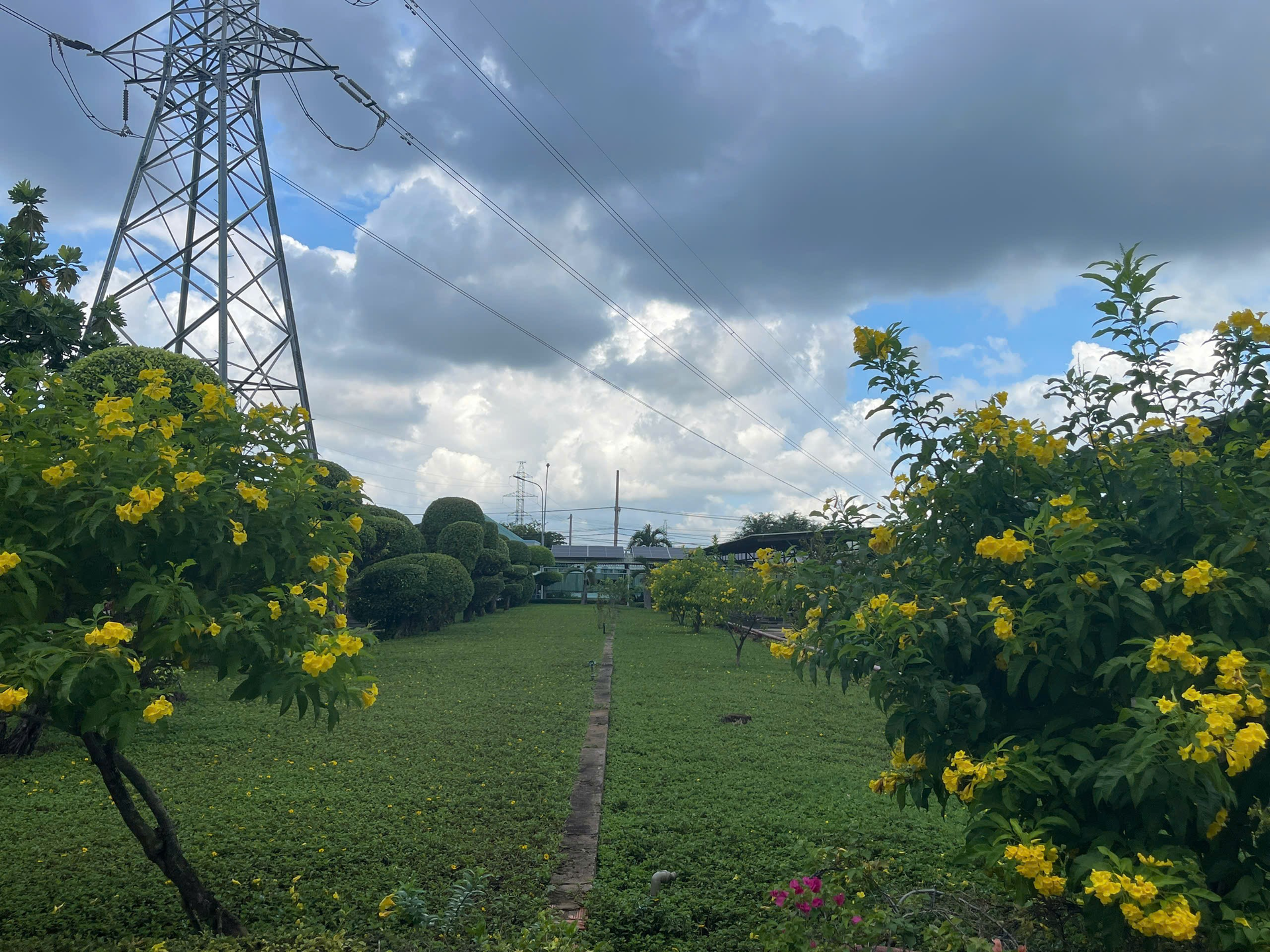 02 Nhiệt điện Bà Rịa .png
