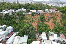 Đào hạ núi Một 2.jpg