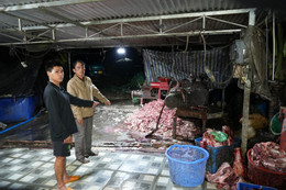 heo benh heo chet.jpg