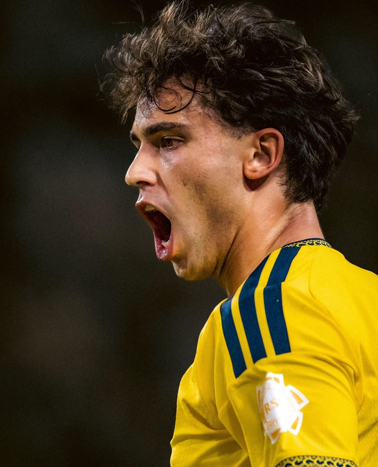 https://static-images.vnncdn.net/vps_images_publish/000001/000003/2026/10/21/joao-felix-sua-sai-cho-ronaldo-al-nassr-nhoc-lay-3-diem-64.jpeg