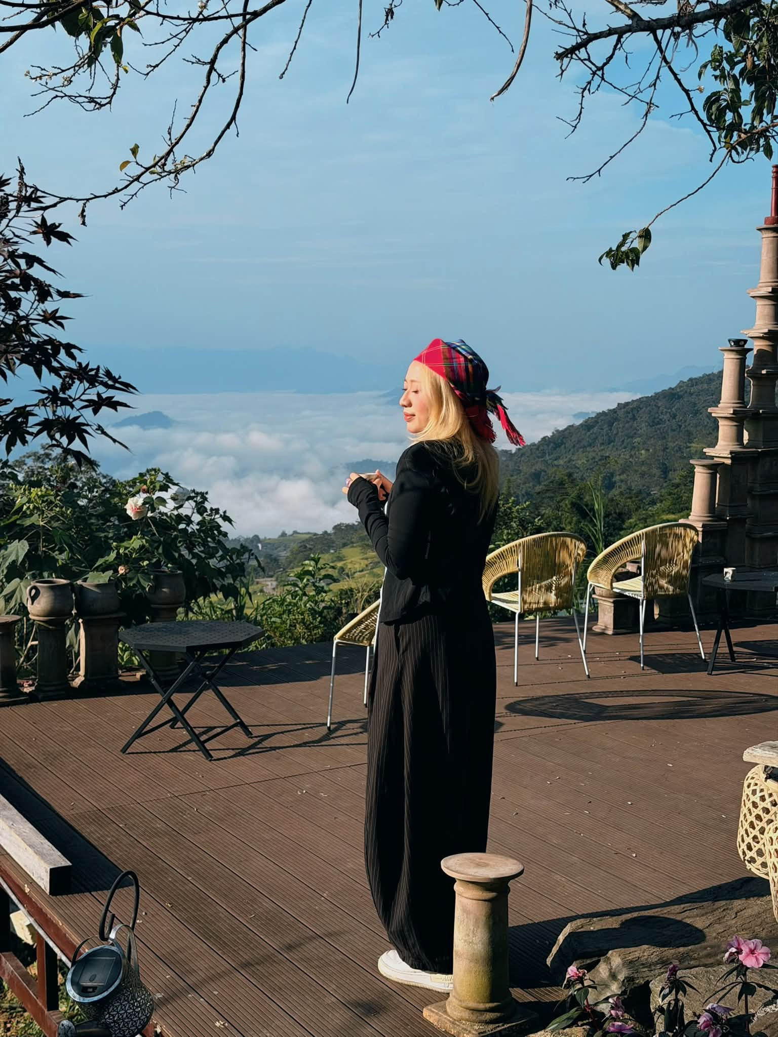 https://static-images.vnncdn.net/vps_images_publish/000001/000003/2026/10/22/ban-hong-thai-2407.jpg