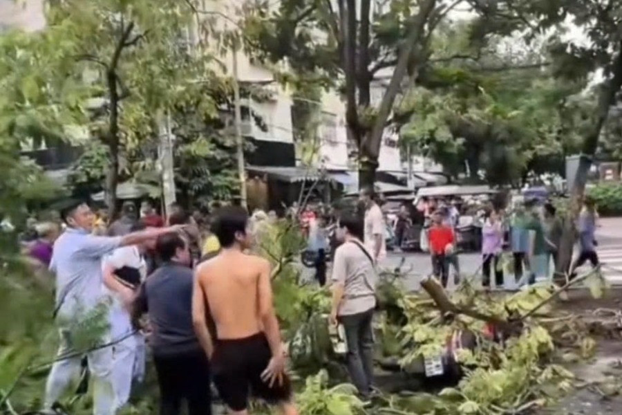Cây phượng bật gốc đè tử vong người đàn ông dừng xe trên vỉa hè ở TPHCM